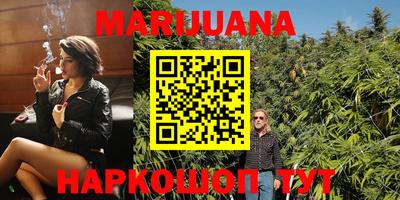 МДПВ Новодвинск