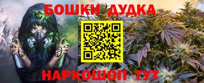 МДПВ Новодвинск