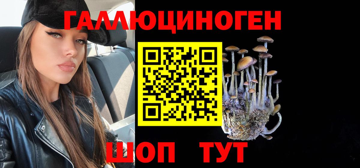 Псилоцибиновые грибы MAGIC MUSHROOMS Ачхой-Мартан