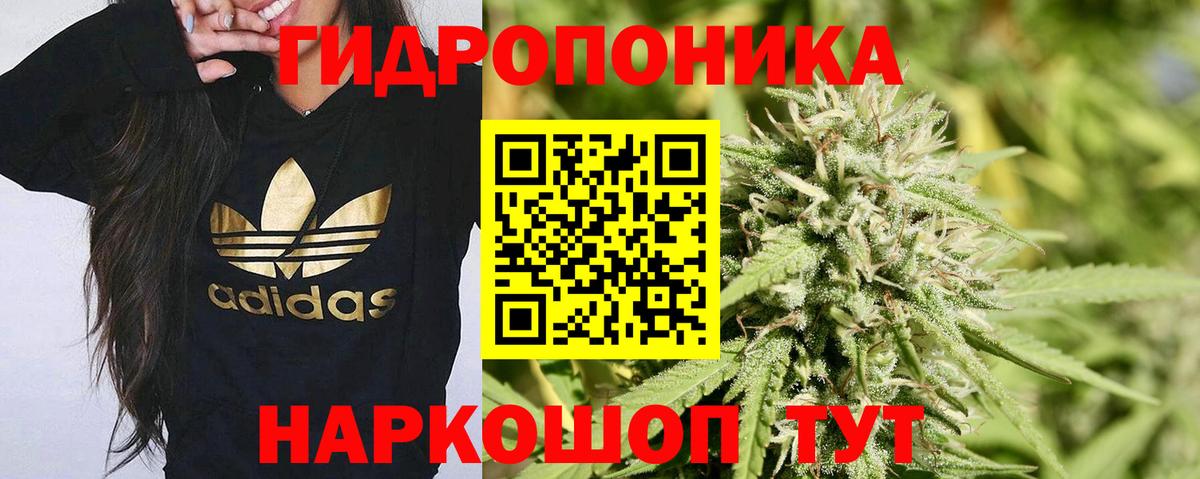 Ачхой-Мартан  Конопля White Widow  Конопля VHQ  Вход с VPN  Конопля индика 